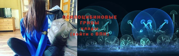 спиды Алзамай